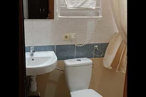 Отель Дарницкий. Делюкс двухместный  3